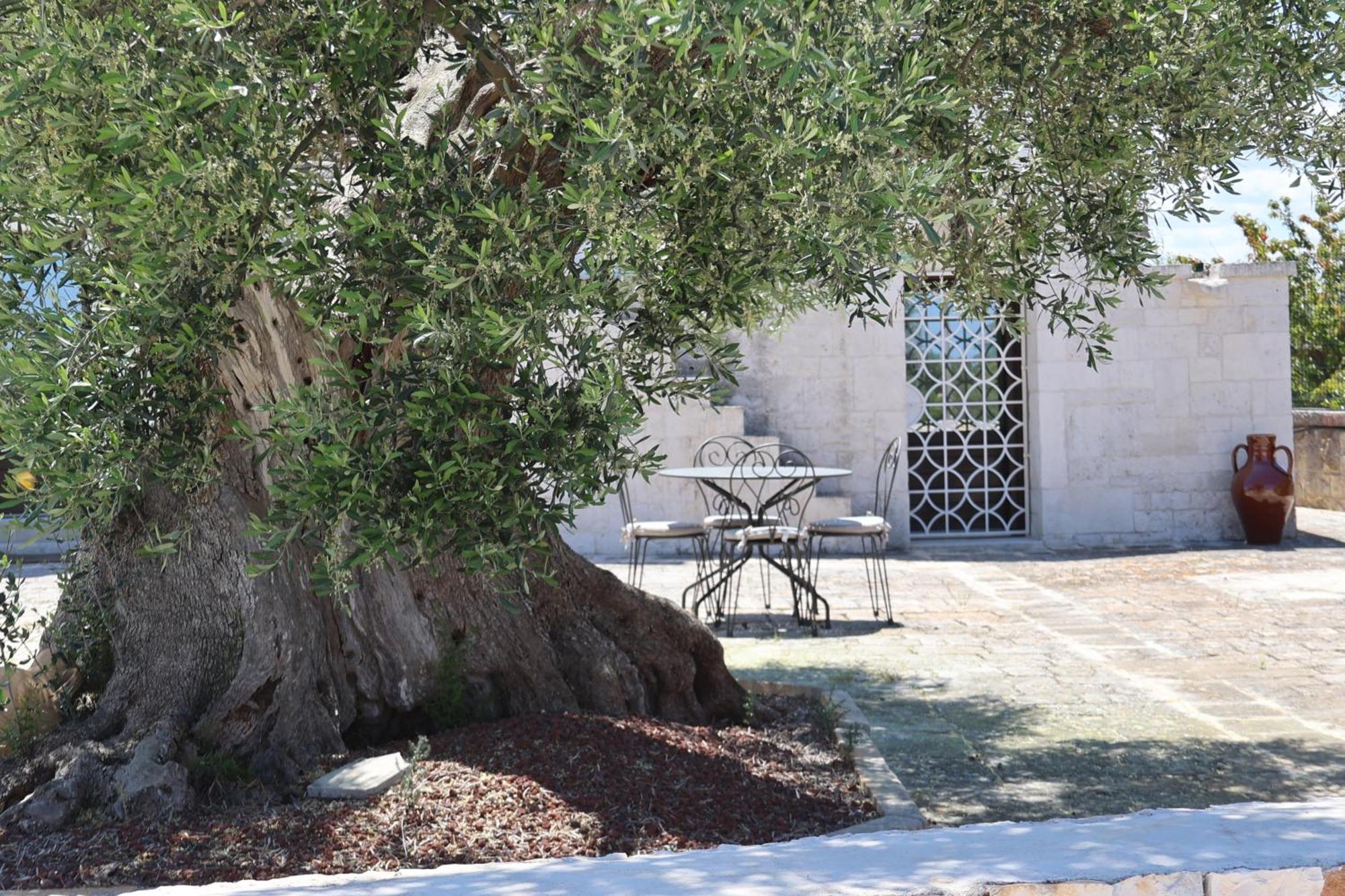 Dimora San Michele Hotell Castellana Grotte Eksteriør bilde